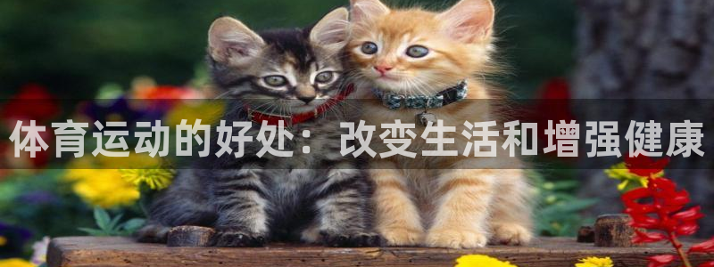 德国意昂4集团