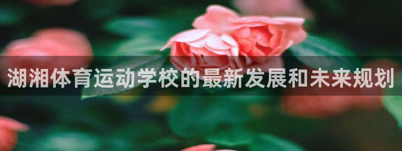 意昂4平台总代理