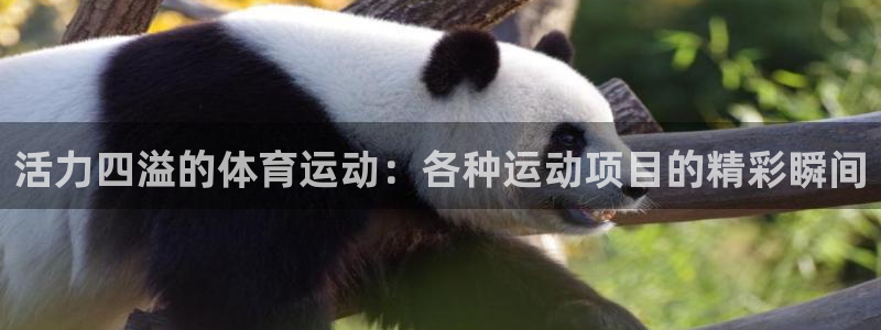意昂4体育用品