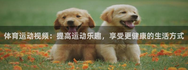 www.意昂4体育.com