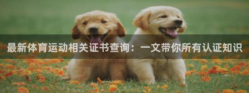 意昂4凯捷开号链接