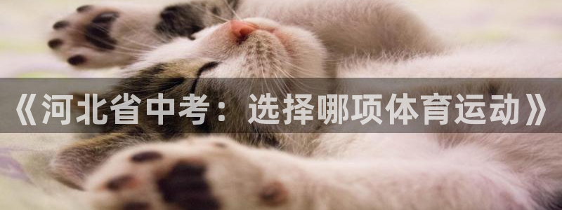 意昂4f平台注册