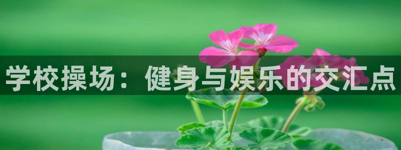 意昂4凯捷平台