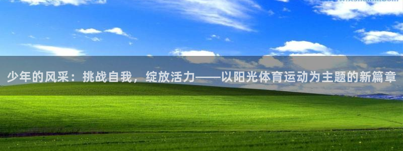 意昂4招商