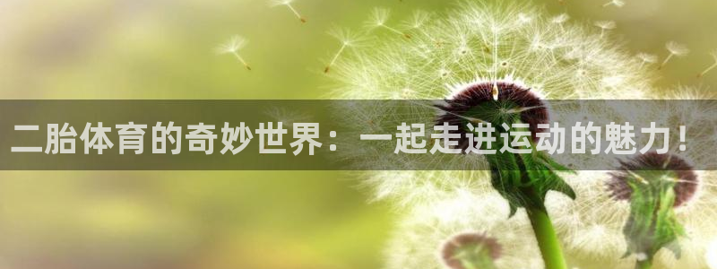 意昂42体育