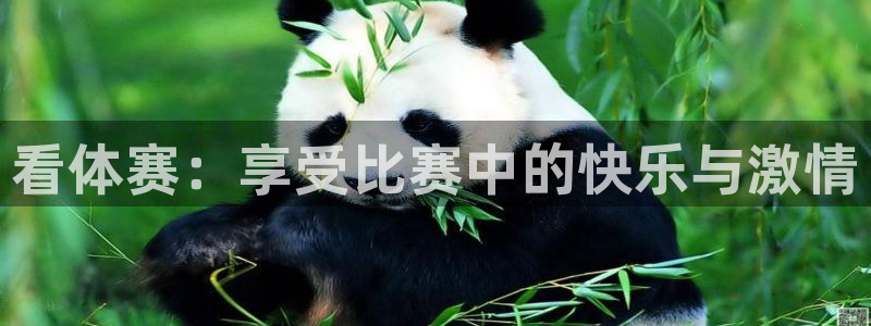 意昂42登录