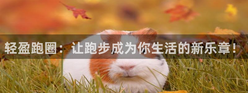 意昂4体育f开号