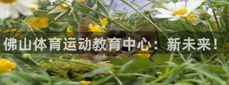 意昂4体育eon
