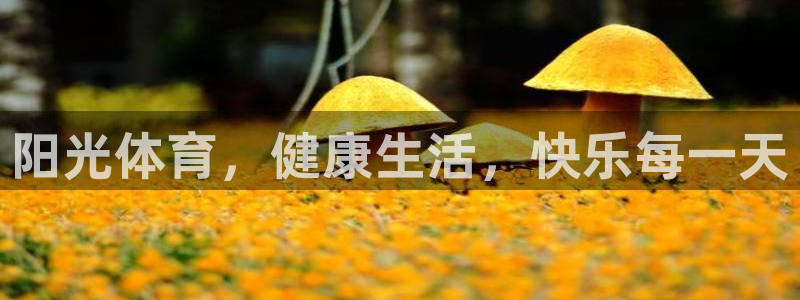 意昂4体育