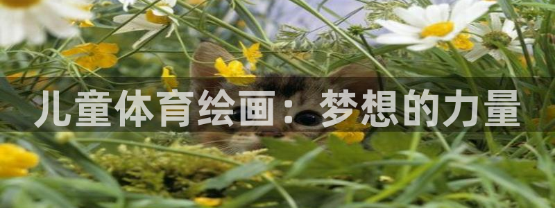 意昂43平台注册