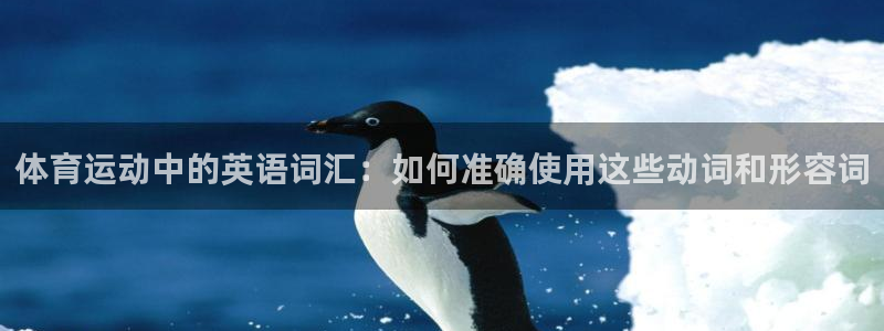 东莞市意昂4电子科技有限公司