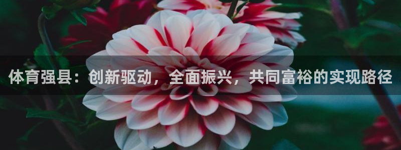 意昂4注册