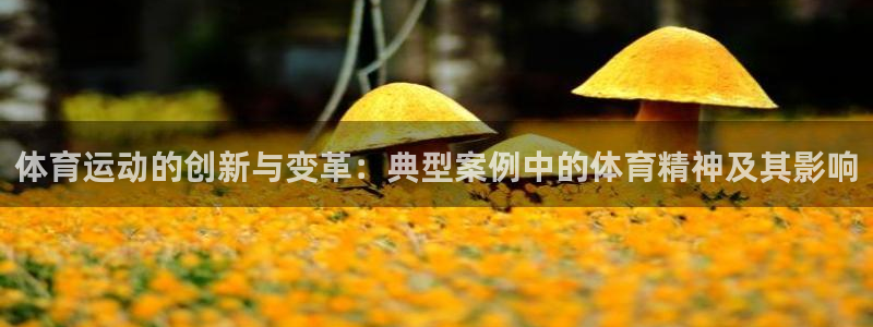 意昂4体育f开户