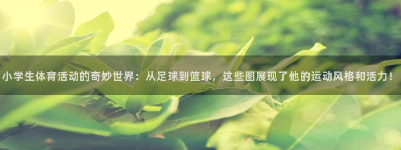 意昂4f平台注册