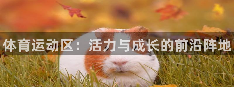 意昂4集团股票