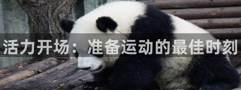 福建意昂4机电股份公司