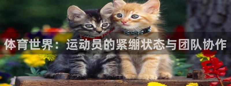意昂44平台注册