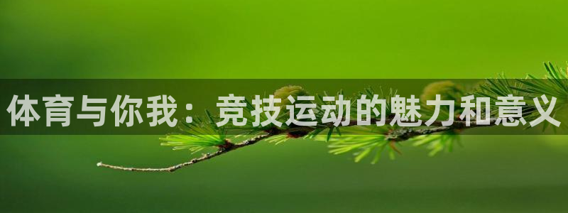 意昂4登录注册