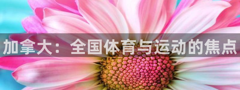 意昂4体育热门赛事有哪些