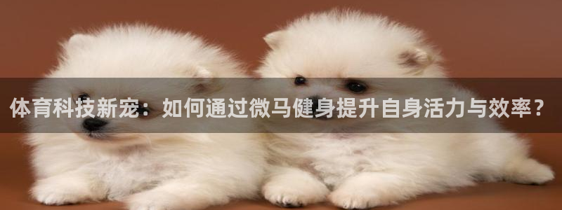 意昂4体育2官网入口